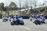 Dcim11942/DSC_9726