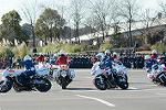 Dcim11942/DSC_9727