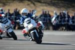 Dcim11942/DSC_9733