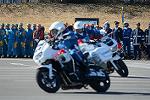 Dcim11942/DSC_9735