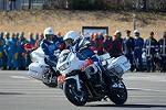 Dcim11942/DSC_9736