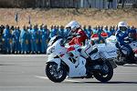 Dcim11943/DSC_9739