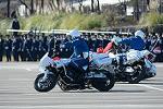 Dcim11943/DSC_9742