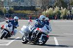 Dcim11943/DSC_9747