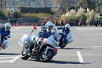 Dcim11943/DSC_9748