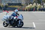 Dcim11943/DSC_9749