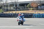 Dcim11943/DSC_9768