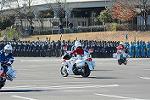 Dcim11943/DSC_9769