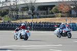 Dcim11943/DSC_9770