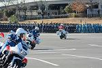 Dcim11943/DSC_9772