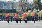 Dcim11943/DSC_9776
