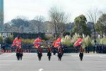 Dcim11943/DSC_9781