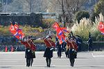 Dcim11943/DSC_9788