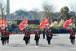Dcim11943/DSC_9801