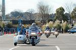 Dcim11944/DSC_9876