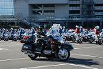 Dcim11945/DSC_0056