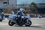 Dcim11946/DSC_0172