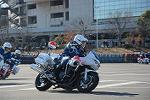 Dcim11946/DSC_0173