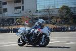 Dcim11946/DSC_0175