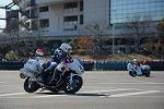 Dcim11946/DSC_0181