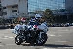 Dcim11946/DSC_0208