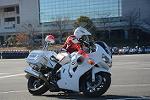 Dcim11946/DSC_0210