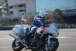 Dcim11946/DSC_0211