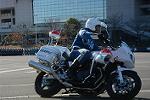 Dcim11946/DSC_0212