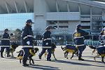 Dcim11948/DSC_0364
