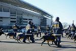 Dcim11948/DSC_0365