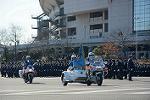 Dcim11948/DSC_0371