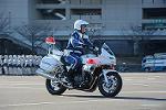 Dcim11948/DSC_0378