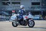 Dcim11948/DSC_0379