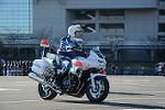 Dcim11948/DSC_0384