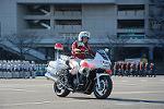 Dcim11948/DSC_0386