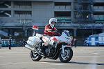 Dcim11948/DSC_0387