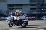 Dcim11948/DSC_0390