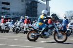 Dcim11949/DSC_0499