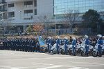 Dcim11949/DSC_0537