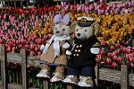 Dcim11951/DSC_6723