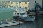 Dcim11953/DSC_0705