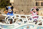 Dcim11954/DSC_0955