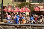 Dcim11955/DSC_1087