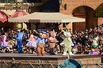 Dcim11955/DSC_1105