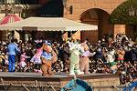 Dcim11955/DSC_1112