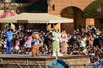Dcim11955/DSC_1113