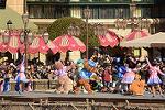 Dcim11955/DSC_1165