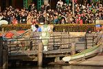 Dcim11956/DSC_1288