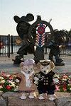 Dcim11958/DSC_1529