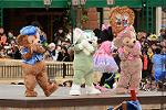 Dcim11961/DSC_1828